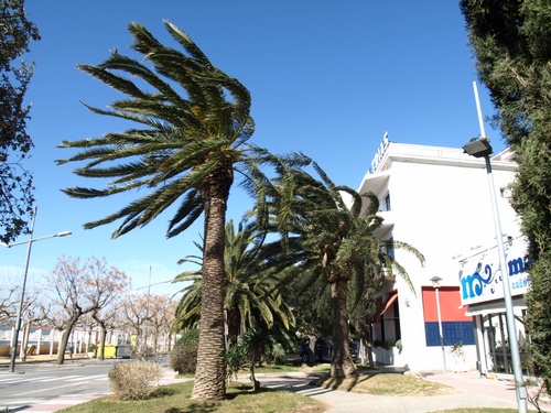 La tramuntana ha bufat amb força aquest cap de setmana.