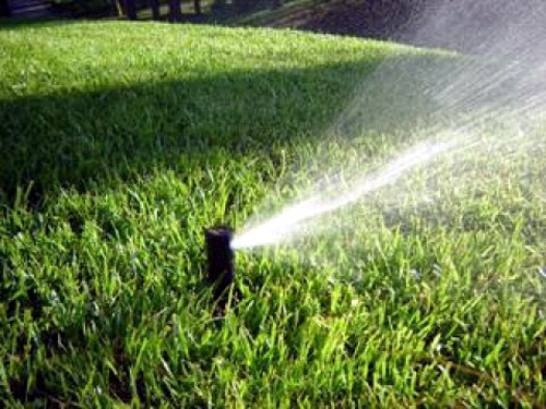 alamós podria estalviar un 30 per cent d'aigua de reg.