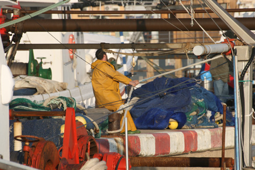L'any 2012 ha deixat un mal blanç per als pescadors palamosins.