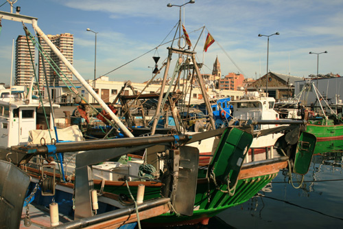 Les barques d'arrossegament de Palamós estaran amarrades durant un mes.