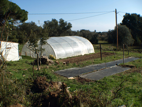 Finca municipal de Can Perè Tià.