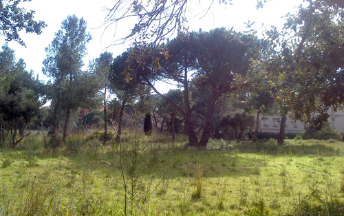 Imatge de la parcel·la urbanitzable de l'espai de la Pineda d'En Gori.