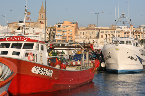 Les nissagues de pescadors, avui a 'Converses de taverna'.