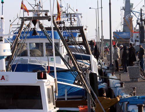 Les barques de pesca podrien portar turistes a partir de l'estiu.