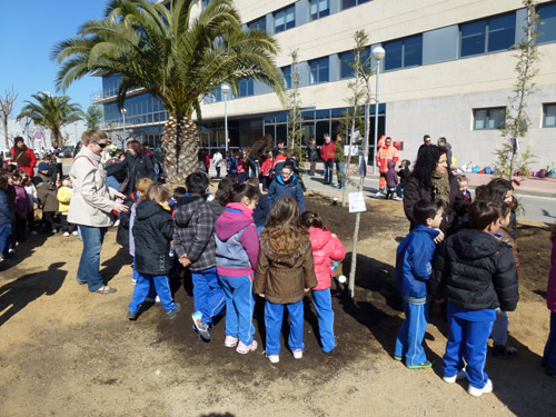 Els escolars de la vila han plantat arbres de set espècies diferents.
