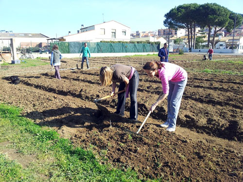 Activitat a l'hort de l'Equitativa.