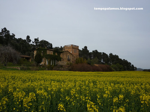 Cel ennuvolat a Palamós. (Foto: tempspalamos.blogspot.com)