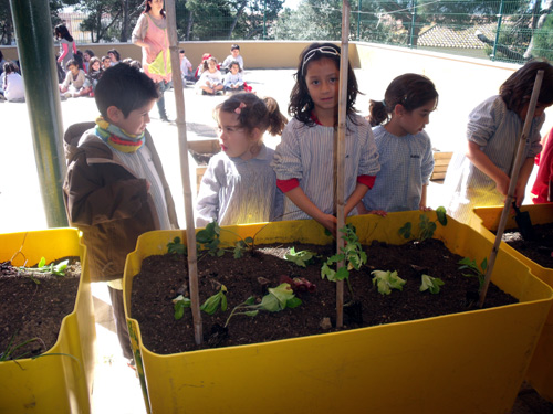 Alumnes del Ruiz Giménez plantant llavors.