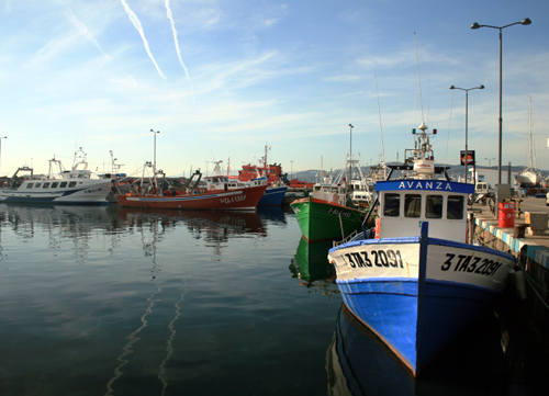 Barques de pesca al port de Palamós.
