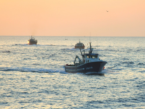 Sortida de barques de pesca a Palamós.