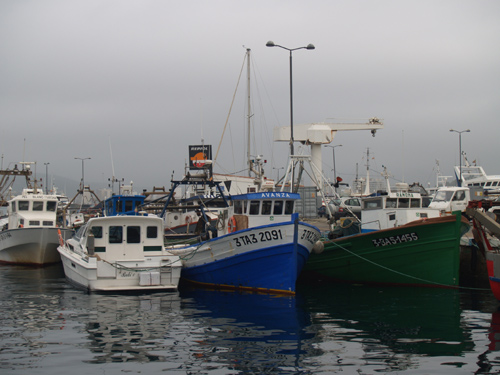 Barques amarrades al port pel mal temps.