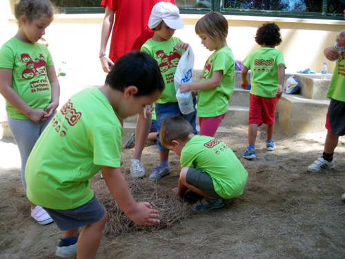 Activitats del Casal d'Estiu de Palamós, en una imatge d'arxiu.