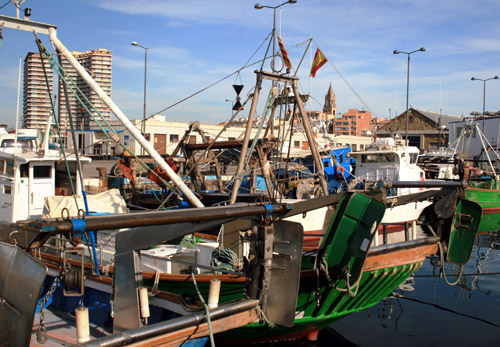 La flota pesquera de la gamba s'haurà de reduir d'un 20 per cent en 5 anys.