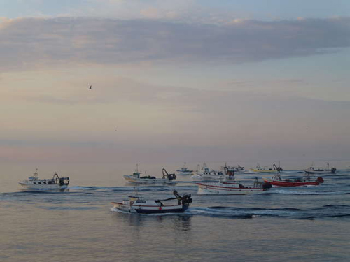 Barques de pesca feinejant. (Foto: Jordi Fernández)
