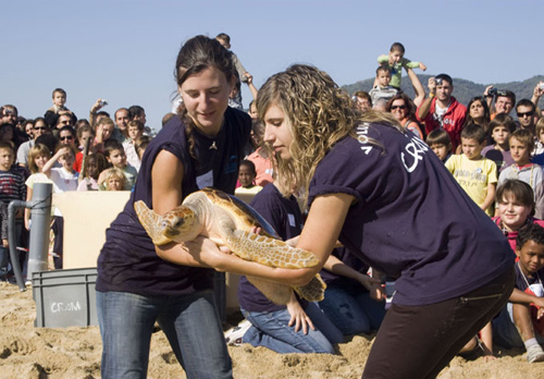 Personal del CRAM alliberant una tortuga. (Foto: medioambienteblog.blogspot.com).