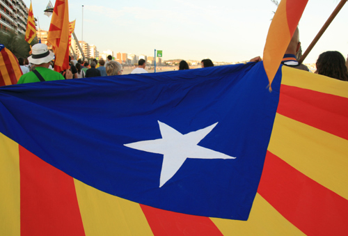 L'ANC vol fer visibles les estelades al carrer.