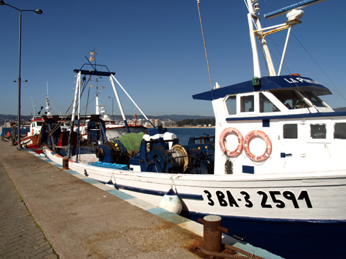 Embarcació de pesca al port de Palamós.
