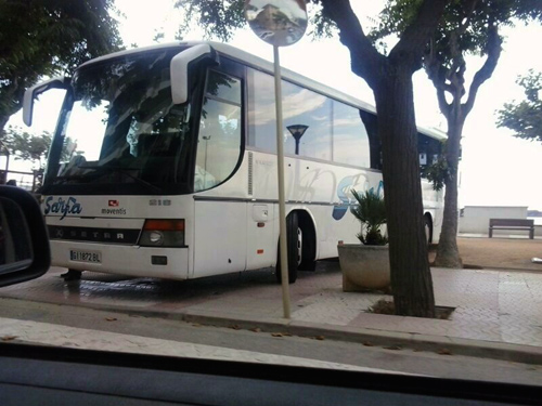 La Sarfa travessada i intentant sortir del passeig.