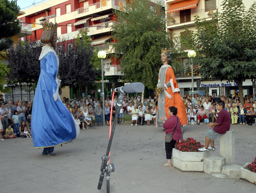 Actes de la Diada a Palamós, en una imatge d'arxiu.