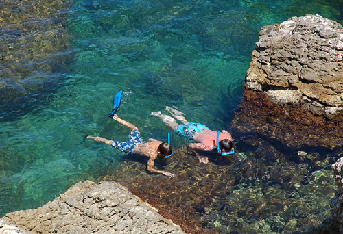 L'esnòrquel, una de les activitats mediambientals d'estiu a Palamós.