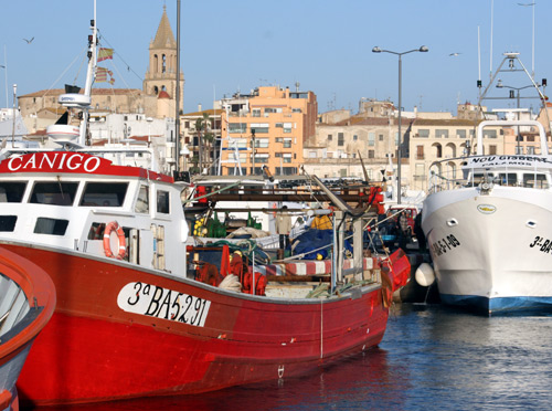 Embarcacions de pesca al port de Palamós.