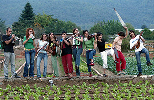 Orquestra Fireluche a l'Estarit