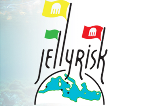 El projecte Jellyrisk nformar els banyistes de com han d'actuar en cas de veure meduses.