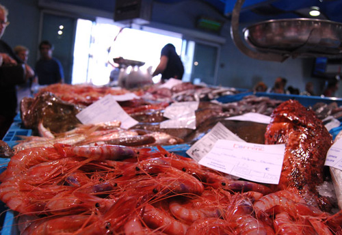 Gamba de Palamós.