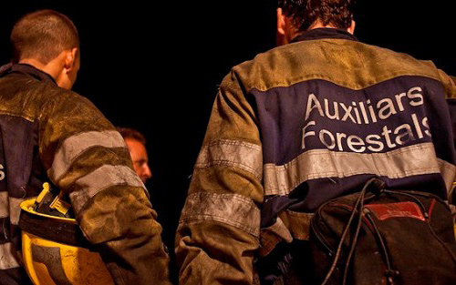 Els auxiliars forestals treballaran dues setmanes més. (Foto: naciodigital.com).