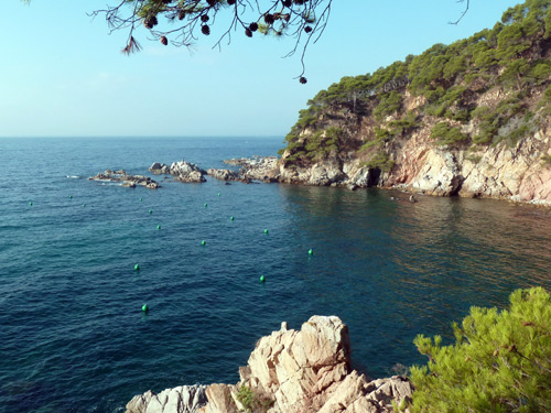 El camp de boies ecològiques de cala Sanià.