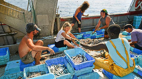 Els pescadors de Roses han començat a portar turistes aquest estiu. (Foto: El Periódico).
