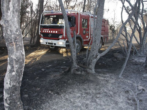 Bombers a la zona de Foixà. (Foto: ACN)