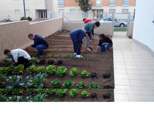 Activitat ocupacional dels usuaris de la Fundació Vimar.