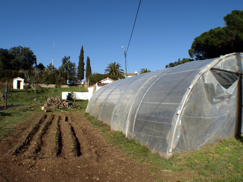 Un hort al recinte municipal de Can Pere Tià.