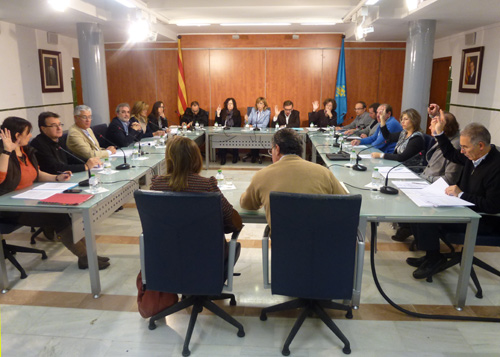 Image del Ple del mes de novembre.