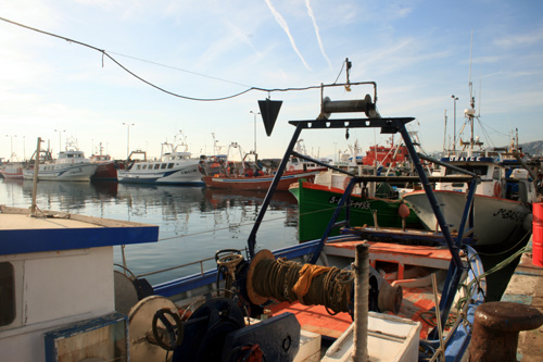 La flota pesquera d'arrossegament de Palamós, cinc setmanes a port.
