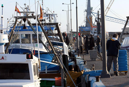 Barques de pesca al port de Palamós.