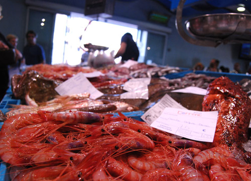 La gamba de Palamós es recupera amb les vedes. (Foto: catacuina).