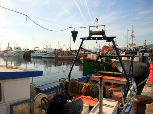 Últim dia a port per a una part de la flota d'arrossegament.