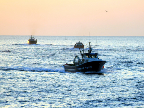Les barques d'arrossegament ja tornen a sortir a mar. (Foto: Jordi Fernández).