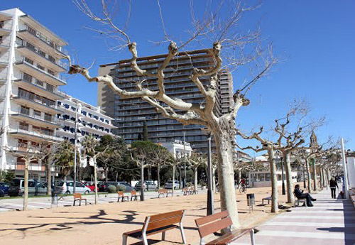 El passeig del Mar de Palamós. (Foto: panoramio.com).