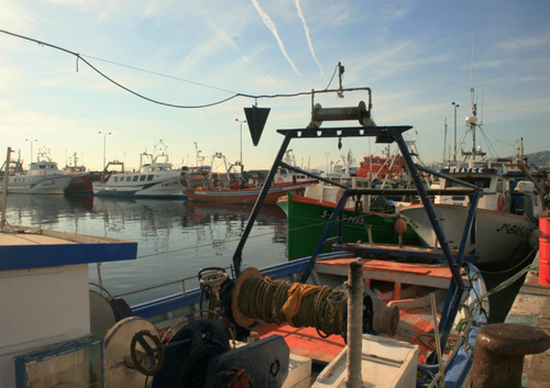 Barques d'arrossegament al port de Palamós.
