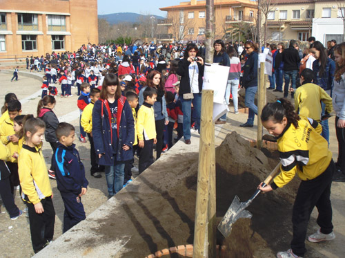 Festa de l'Arbre a l'IES Palamós, aquest matí.