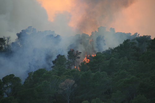 L'incendi de les Gavarres va cremar 359 hectàrees.