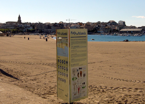 Plafó informatiu a la platja Gran de Palamós. (Foto: EMAS)