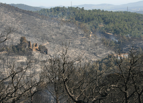 Una de les zones cremades en el foc del passat 16 de març.