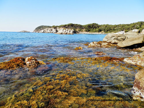 Anticicló a Palamós el passat divendres. (Foto: tempspalamos.blogspot.com)
