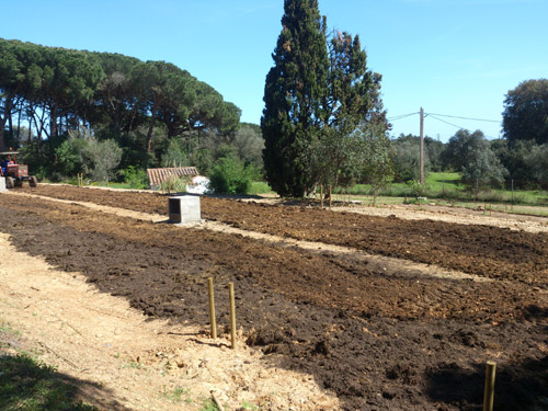 Zona d'horts públics a Can Pere Tià.