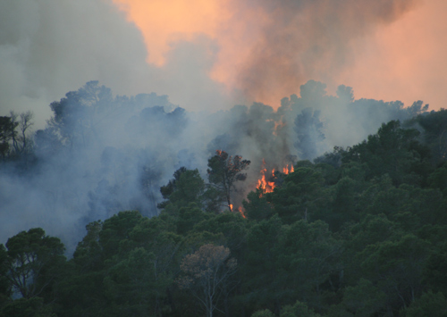 L'incendi de les Gavarres, el passat mes de març.