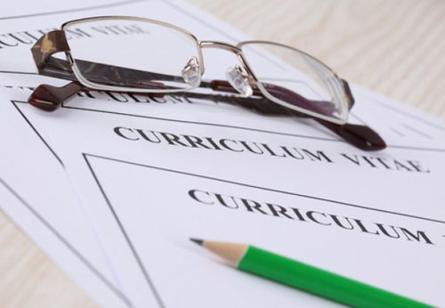 La gestió dels currículums és un dels temes on incideix l'assessorament.